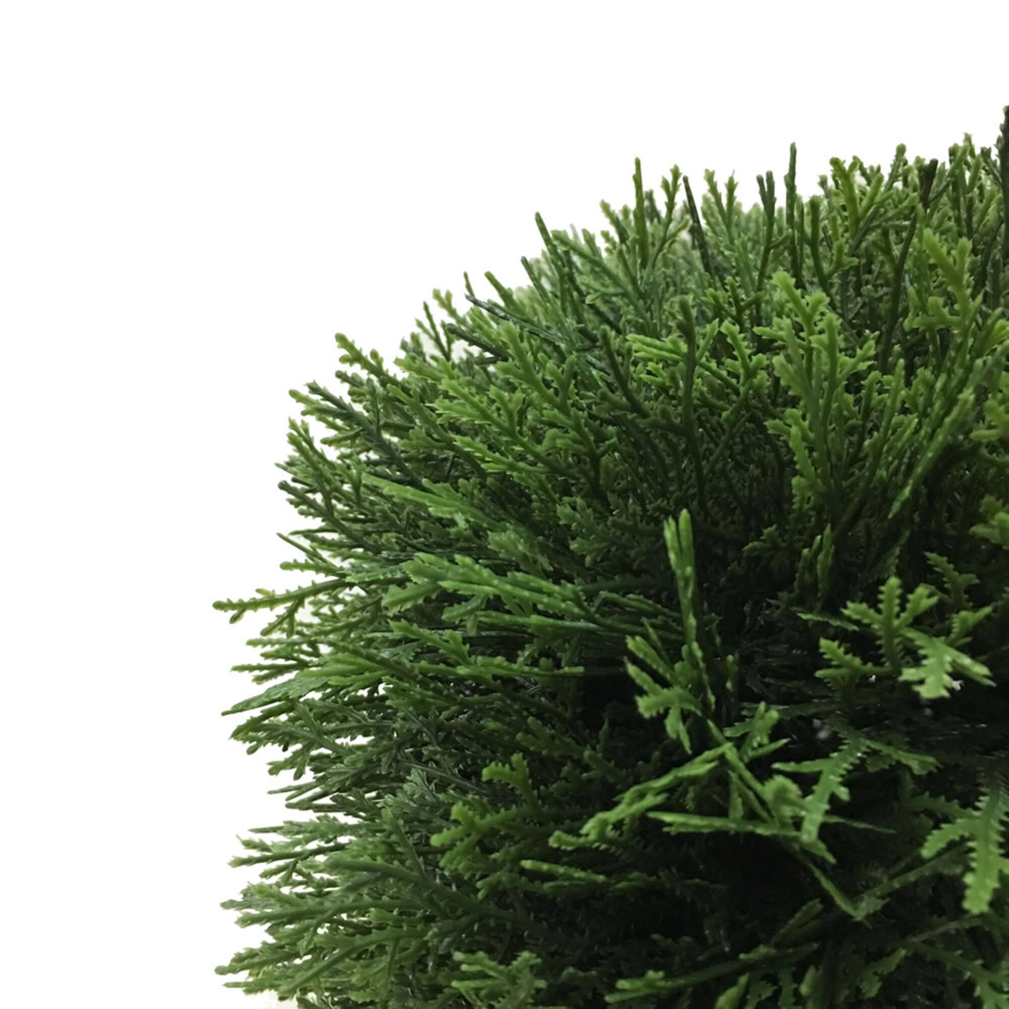 2ft. Green Cedar Hedge